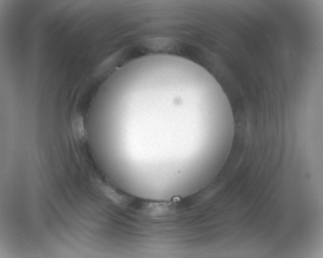 X0000082150089200702021646