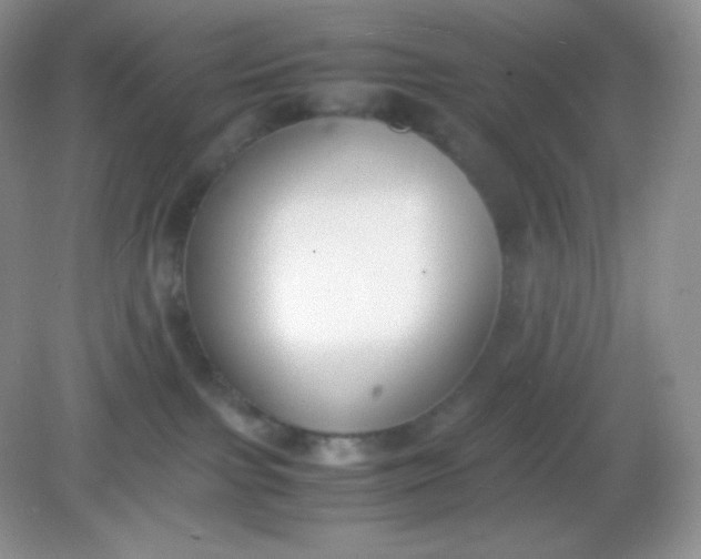 X0000082150091200702021646