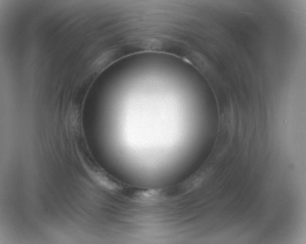 X0000082150092200702021646