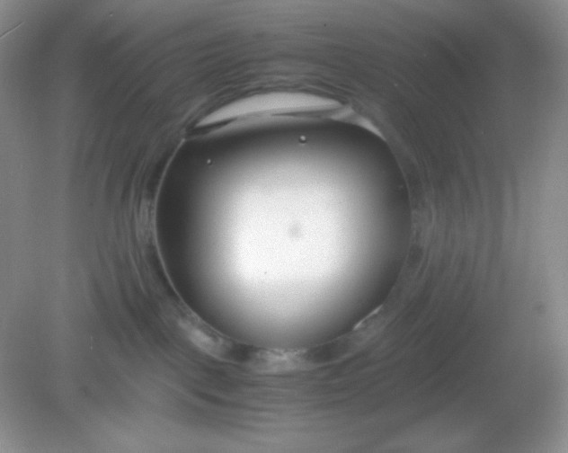 X0000082150093200702021646