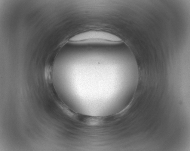 X0000082150094200702021646