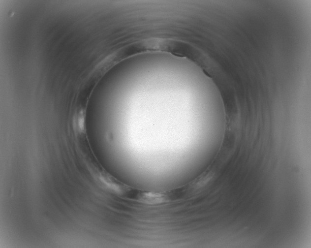 X0000082150095200702021646