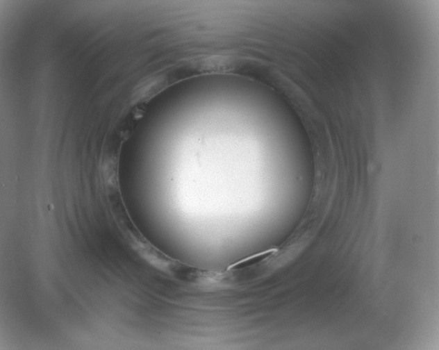 X0000082150096200702021646