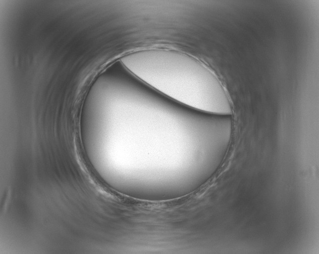 X0000082150097200702021645