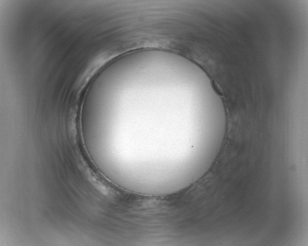 X0000082150098200702021645