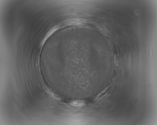 X0000082150099200702021645