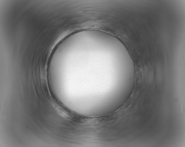 X0000082150100200702021645