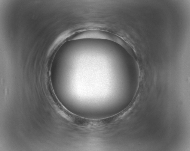 X0000082150101200702021645