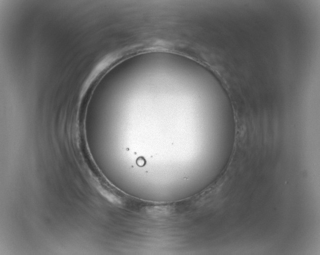 X0000082150102200702021645