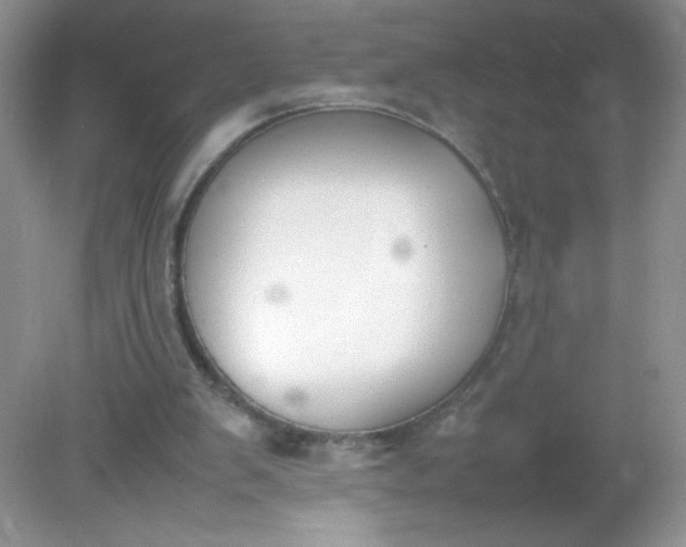 X0000082150103200702021645