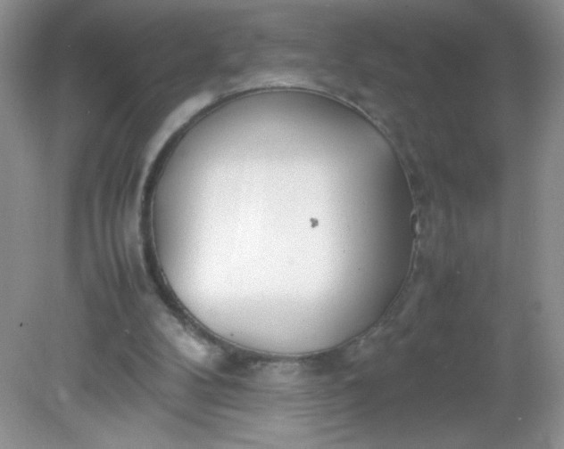 X0000082150104200702021645