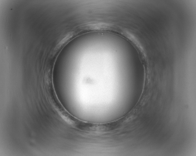 X0000082150105200702021645