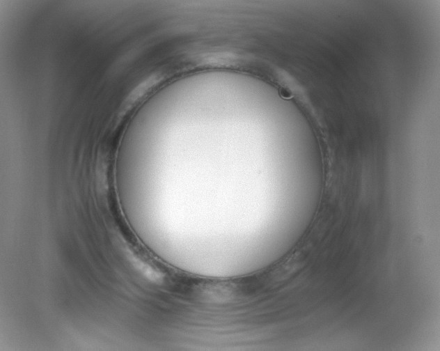 X0000082150106200702021645