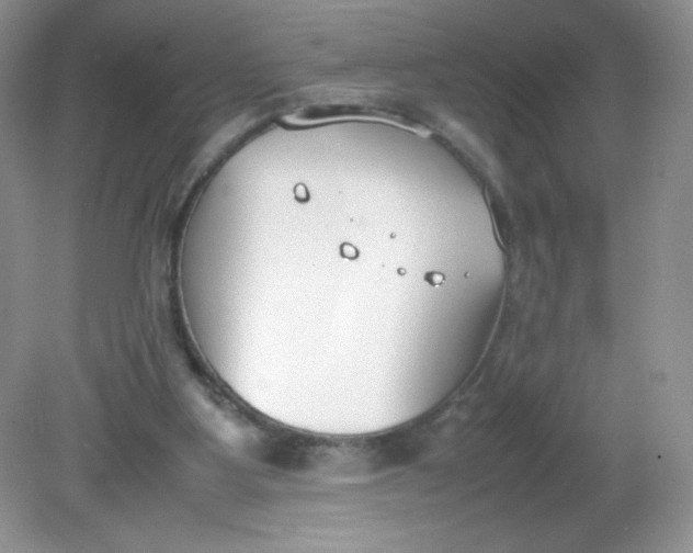 X0000082150107200702021645