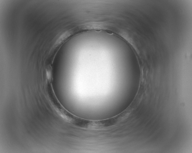 X0000082150109200702021645