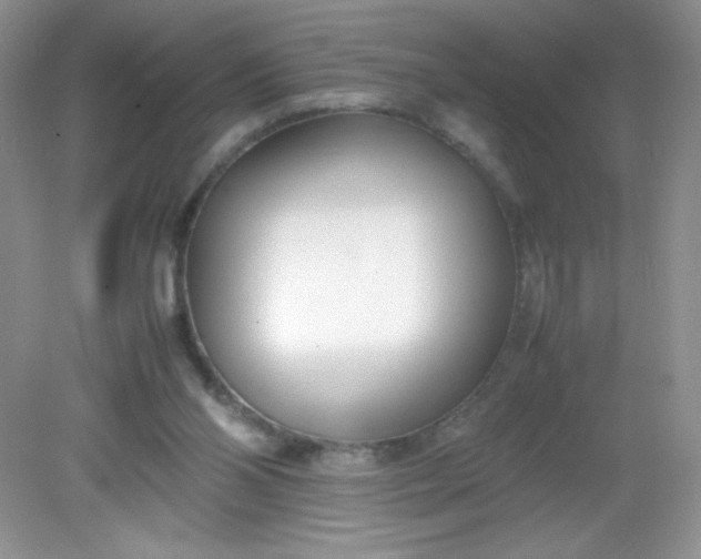 X0000082150110200702021645