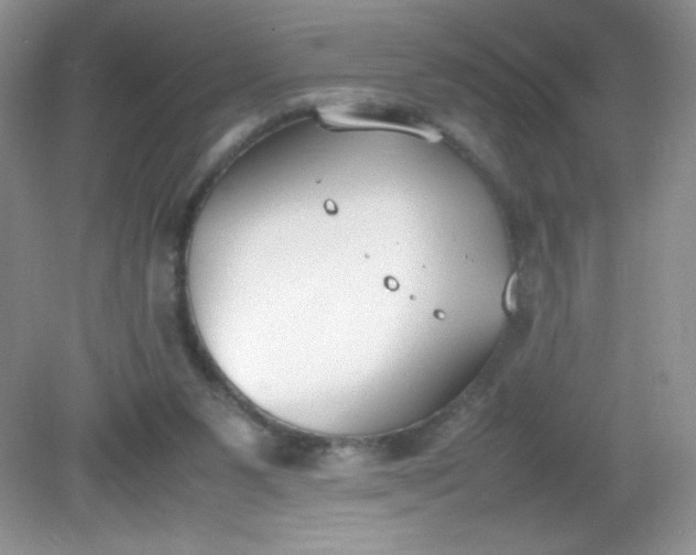 X0000082150111200702021645