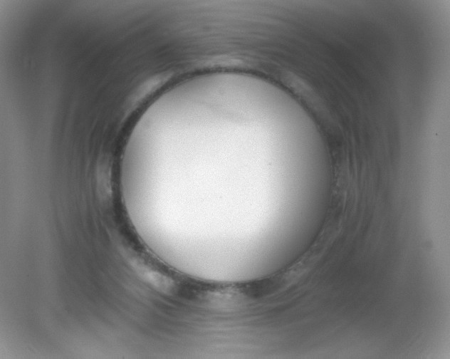 X0000082150112200702021645