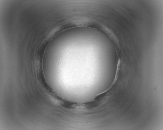 X0000082150113200702021645