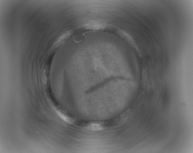 X0000082150114200702021645