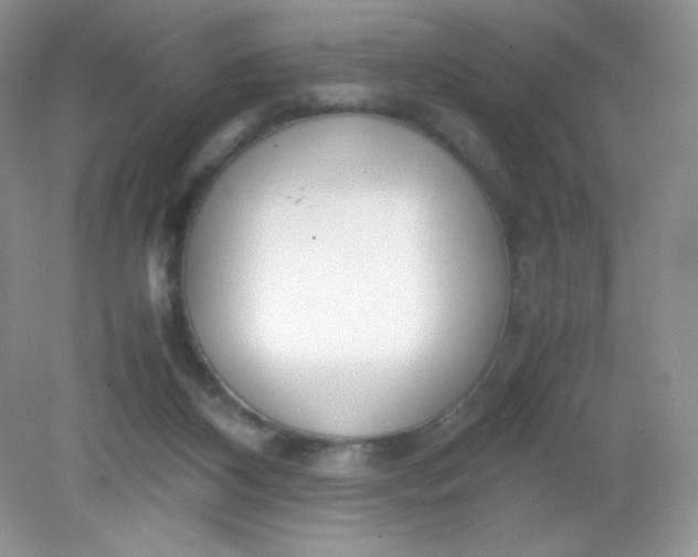 X0000082150116200702021645