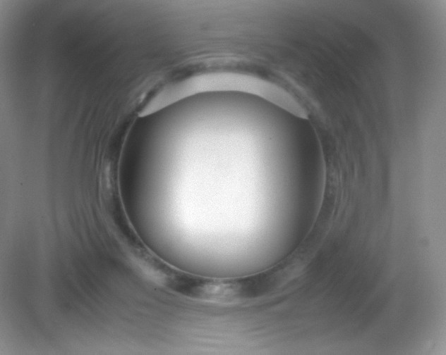 X0000082150117200702021645