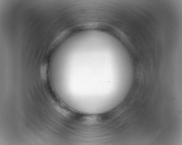 X0000082150118200702021645