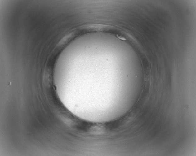 X0000082150119200702021645