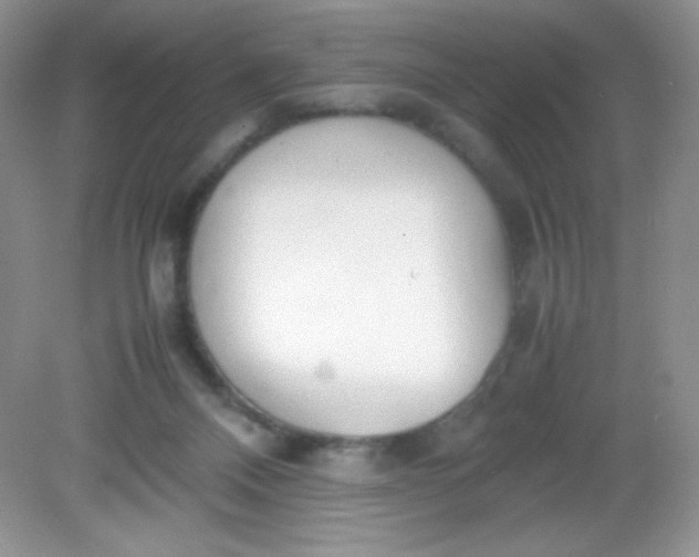 X0000082150120200702021645