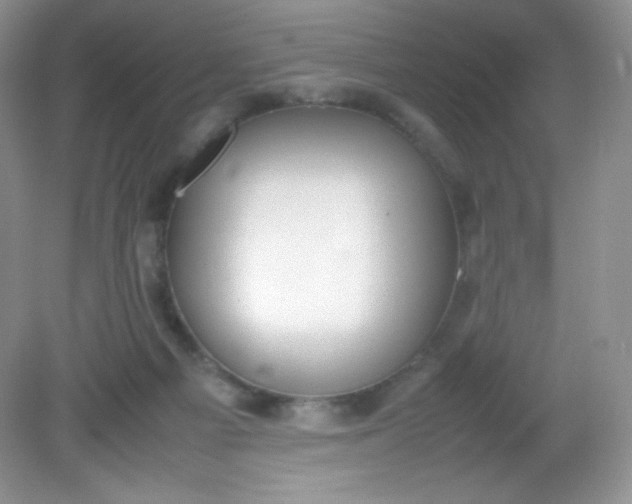 X0000082150121200702021645