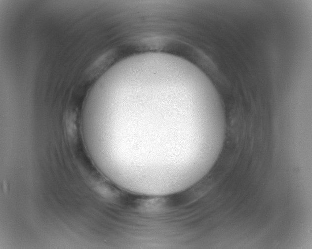 X0000082150122200702021645