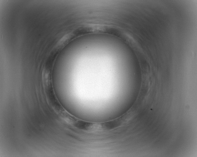 X0000082150123200702021645