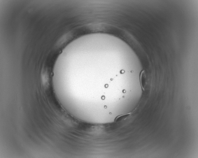 X0000082150124200702021645