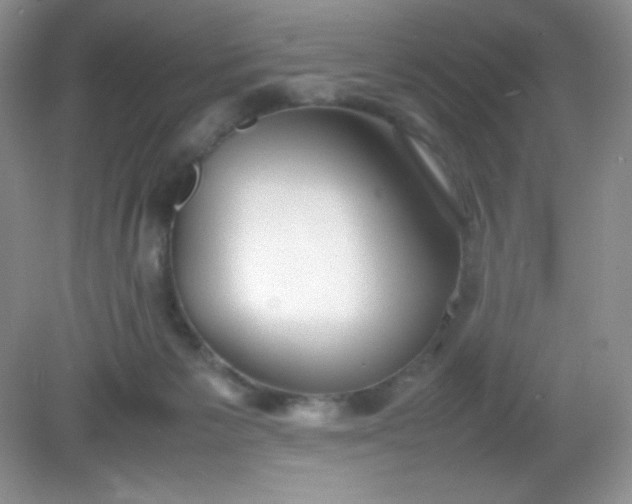 X0000082150125200702021645