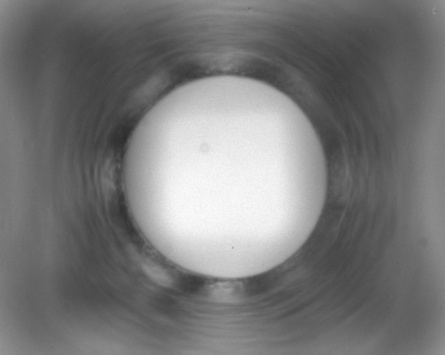 X0000082150126200702021645