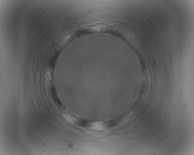 X0000082150127200702021645