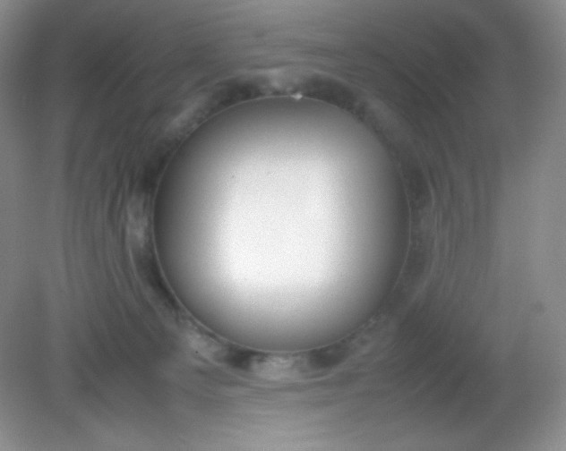 X0000082150129200702021645