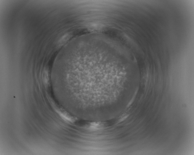 X0000082150130200702021645