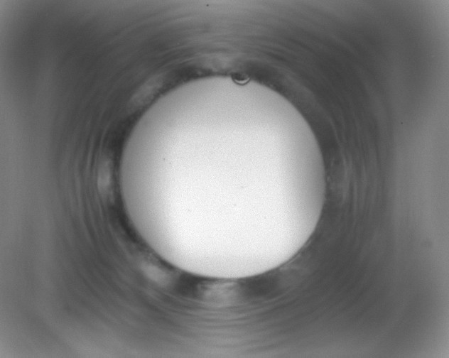 X0000082150132200702021645