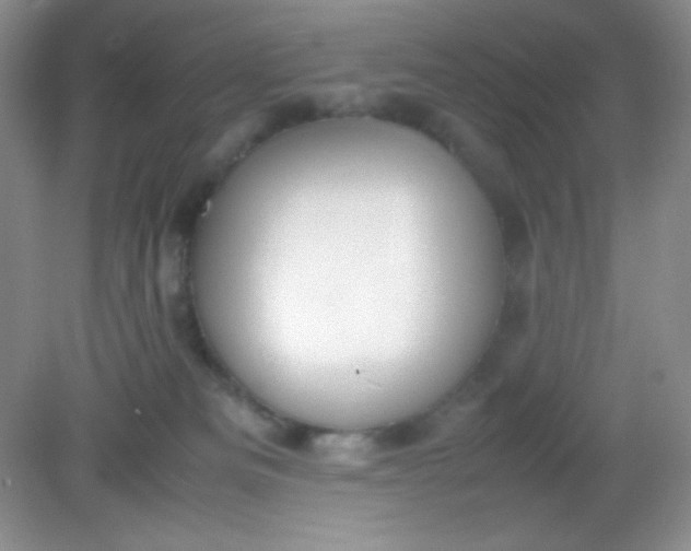 X0000082150133200702021645