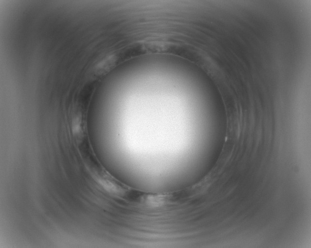 X0000082150134200702021645