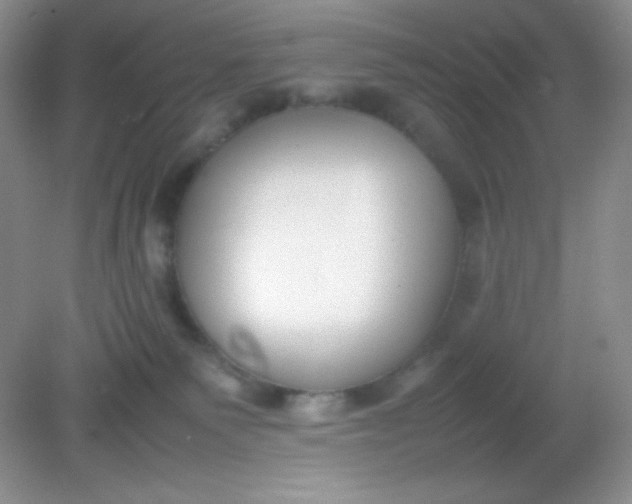 X0000082150135200702021645