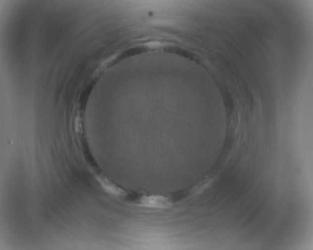 X0000082150137200702021645