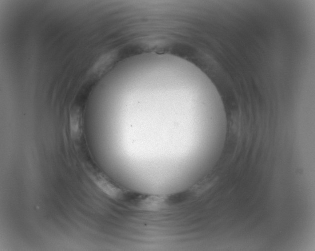 X0000082150138200702021645