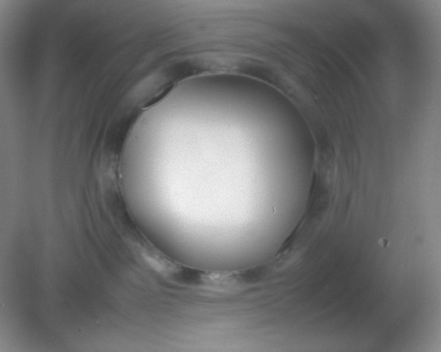 X0000082150141200702021645