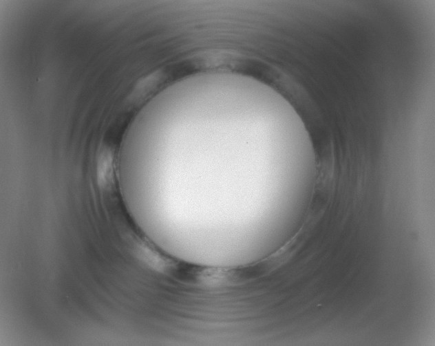 X0000082150142200702021644