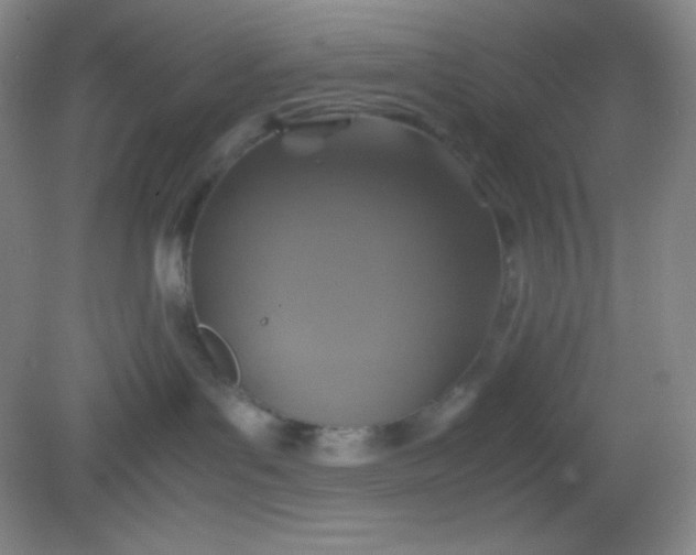 X0000082150143200702021644