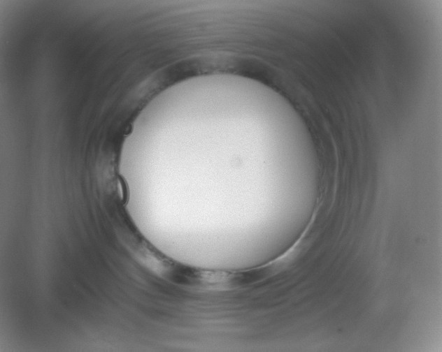 X0000082150144200702021644