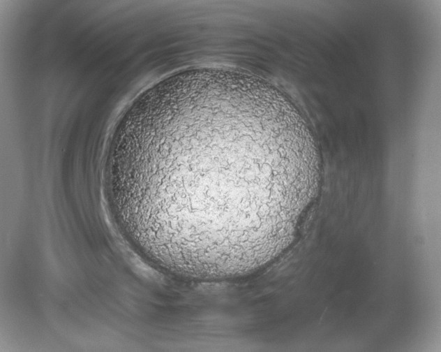 X0000082150145200702021644