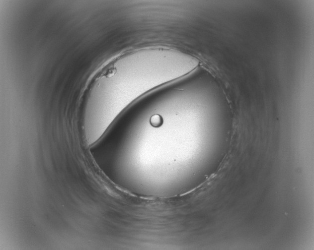 X0000082150146200702021644